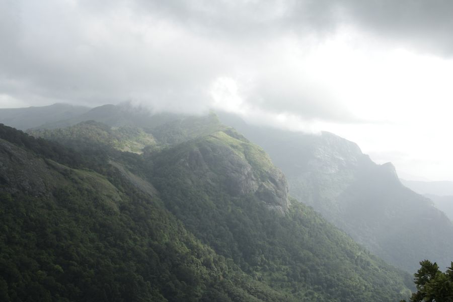 Great Trekking Point Nelliyampathi